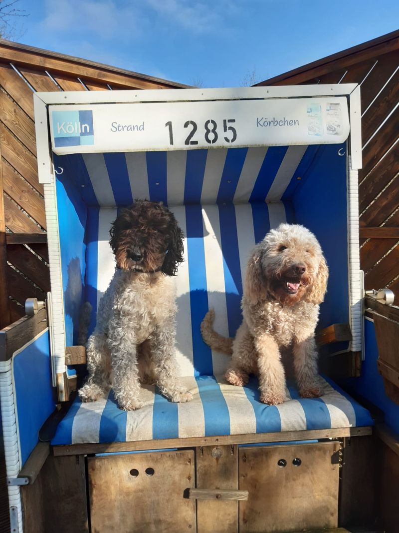 28.04.2024 - Beckham